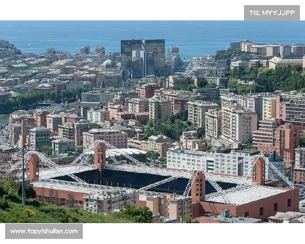 意甲球队自建球场的未来发展趋势与挑战探讨